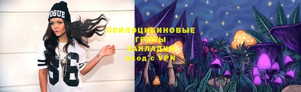 синтетический гашиш Алексеевка