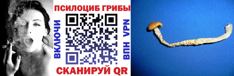 Псилоцибиновые грибы ЛСД Алексеевка